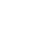 logo_lions_club_international_sm-pichi